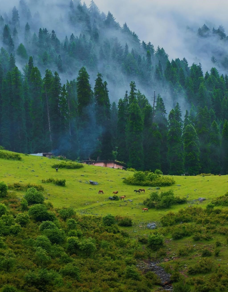 The Ultimate Pahalgam Itinerary for Luxury Slow Travel | The Kashmir Reset image