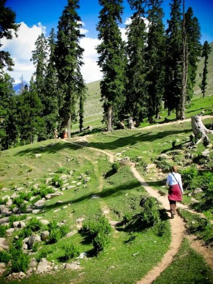 The Ultimate Pahalgam Itinerary for Luxury Slow Travel | The Kashmir Reset image